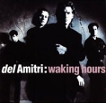 Del Amitri Waking Hours Формат: Audio CD Дистрибьютор: A&M Records Ltd Лицензионные товары Характеристики аудионосителей 2006 г Альбом: Импортное издание инфо 4983z.